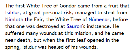 The White Tree represents the Pagan Sacred Tree Yggdrasil its a "SCION" of the original gift of the Elves to Númenor. When they were "Elf-Friends" and followed the Elvish Ancestral ways the Tree was healthy. When they lost their roots the Tree withered. Part 5.