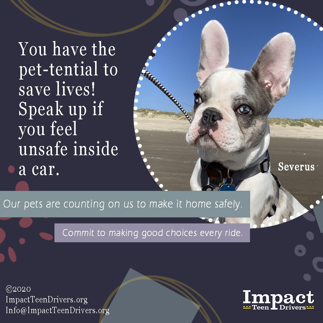 impactdrivers's tweet image. SPEAK UP.
#nationalteendriversafetyweek #ntdsw #passengers #drivers #teens