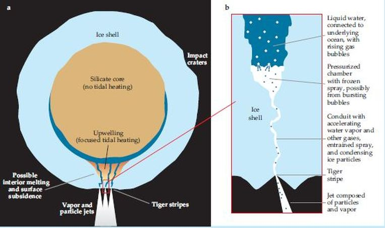 the mantle (Sky at Night Magazine). I've previously mentioned many of the icy moons in the outer Solar System having subsurface oceans, and these come into play when discussing cryovolcanism. Planets and moons both exert a gravitational force on each other, which pulls the...(7)