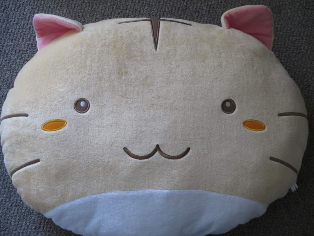 ポヨポヨ観察日記