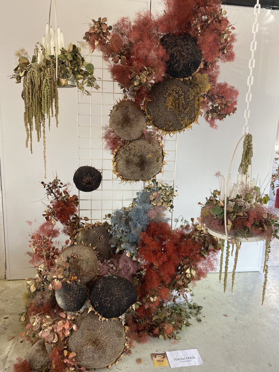 Amanda Lewan tweet media