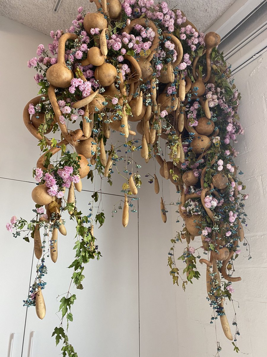 Amanda Lewan tweet media