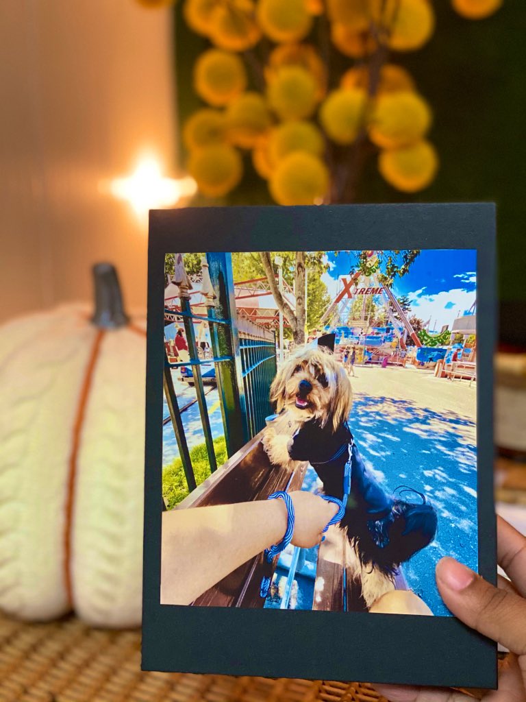 _sealionnnn's tweet photo. Custom Puzzles! Dm for PRE ORDER!! Choose ANY picture ❤️ @ccjcuts https://t.co/ivfm5l7ndU