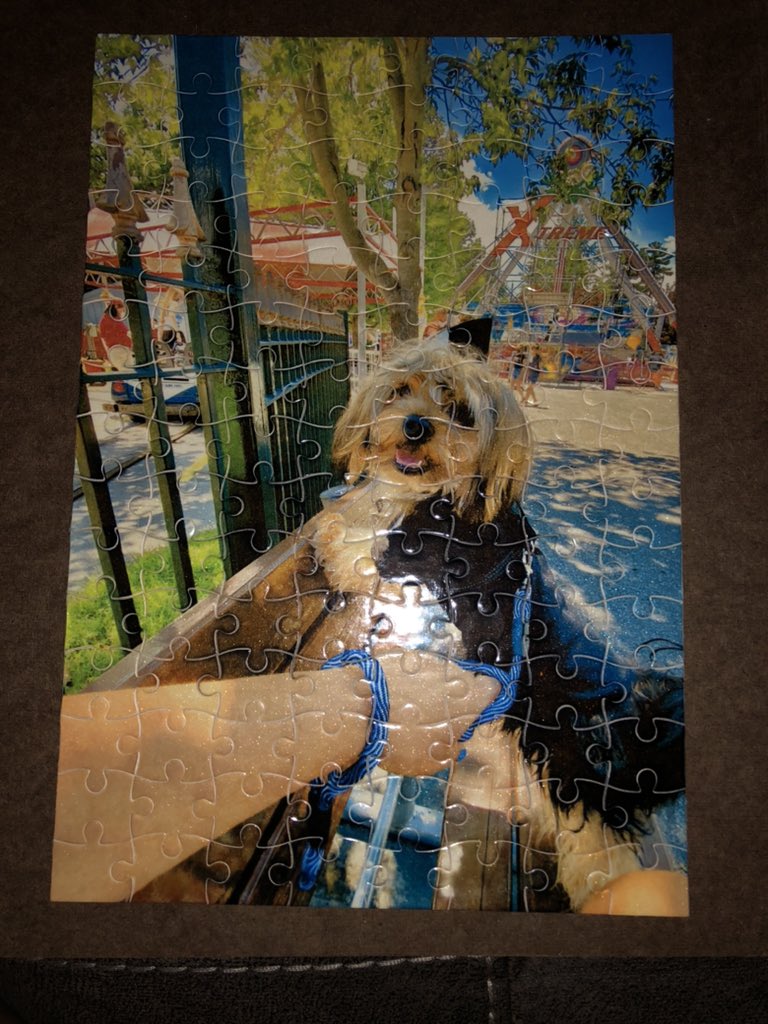 _sealionnnn's tweet photo. Custom Puzzles! Dm for PRE ORDER!! Choose ANY picture ❤️ @ccjcuts https://t.co/ivfm5l7ndU