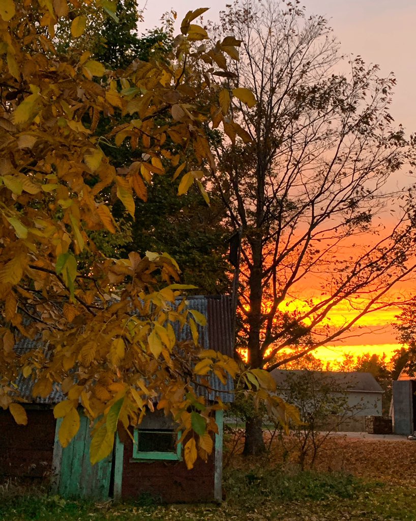 DeeFinn01's tweet photo. If anyone cares to see something kinda nice. #pei #fall https://t.co/Ok3clglIxH