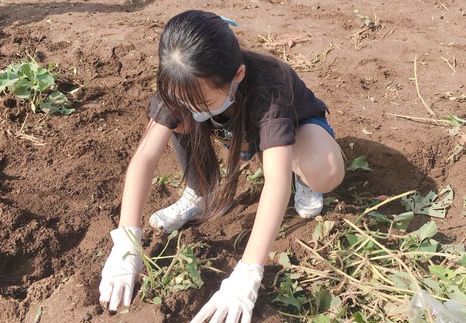 Twitterのコスプレ画像22