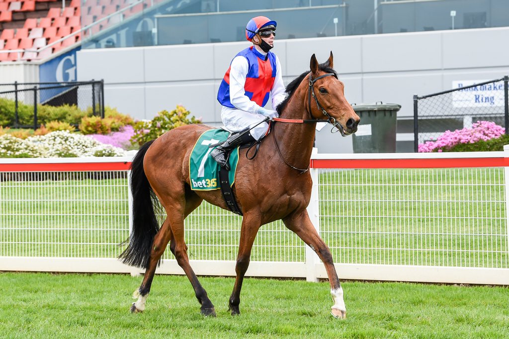 Anthony & Sam Freedman Racing tweet media