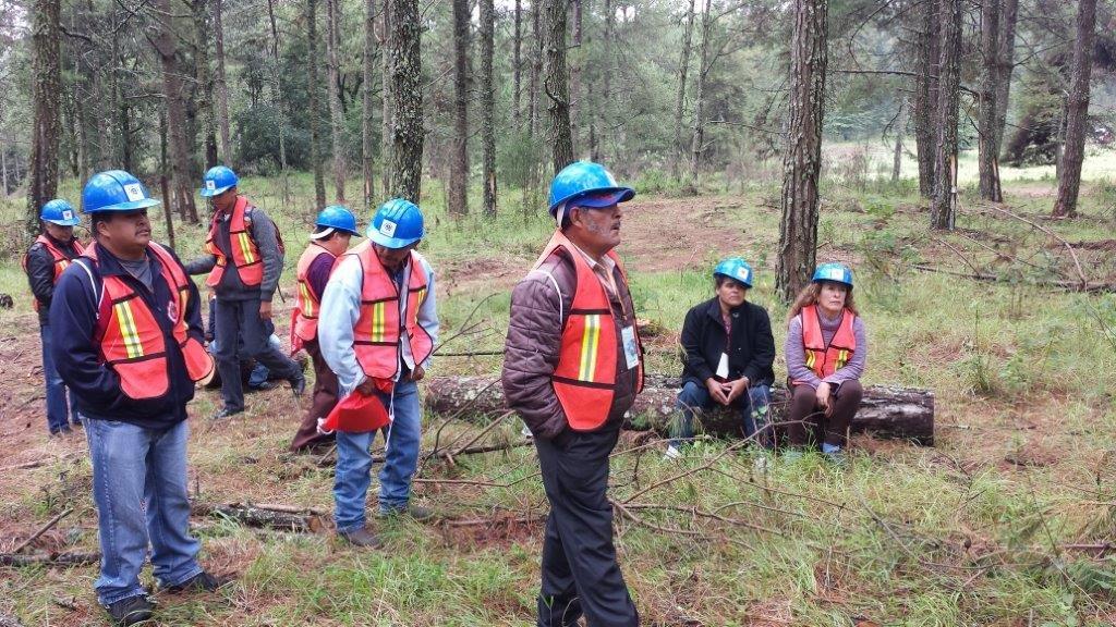 mongabay photo