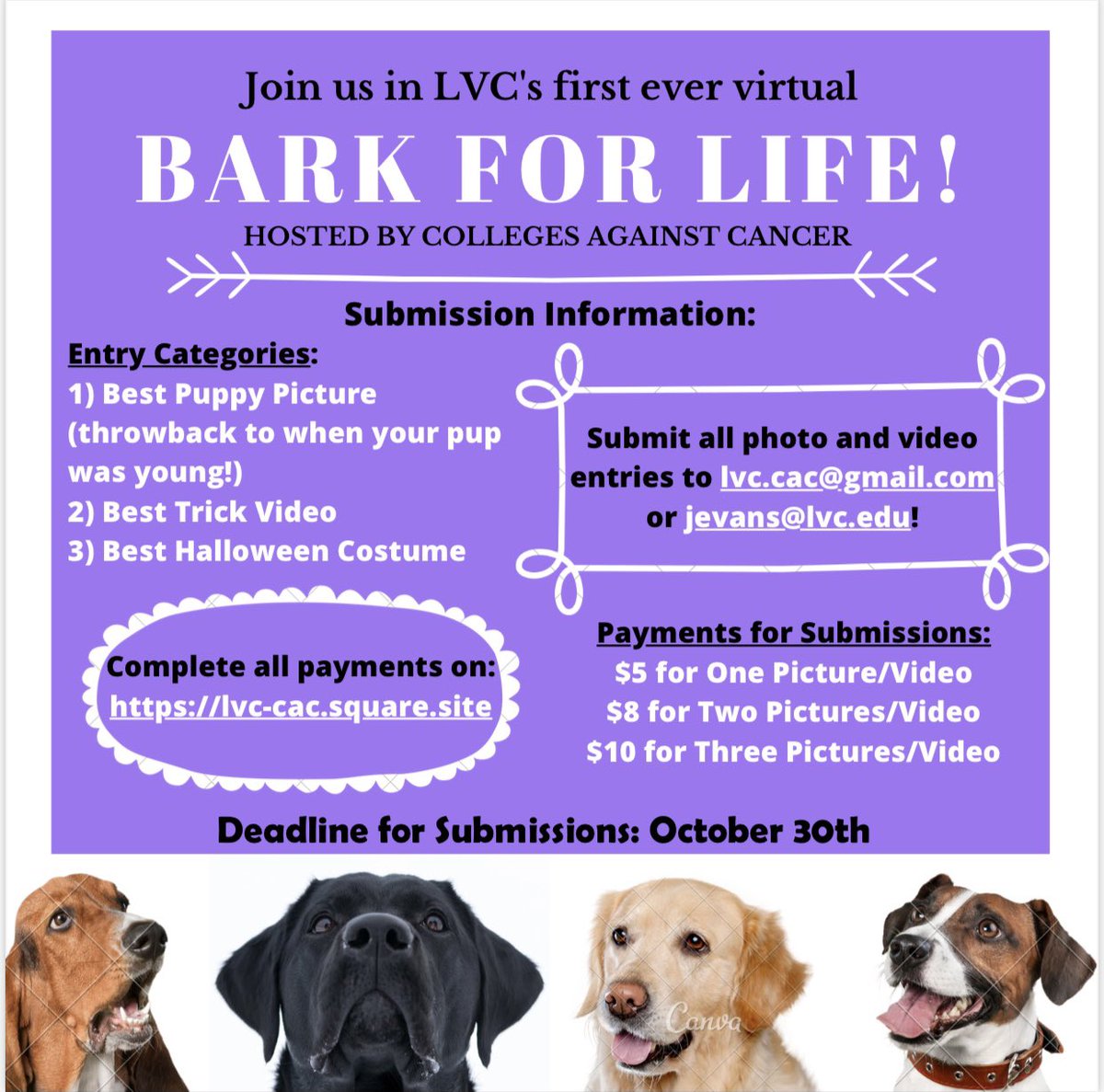 LVCRelay4Life's tweet image. ONE MORE WEEK
SUBMIT YOUR PHOTOS BY OCTOBER 30th!! 
@LVC