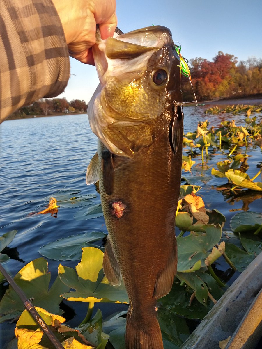 Jason S. tweet media