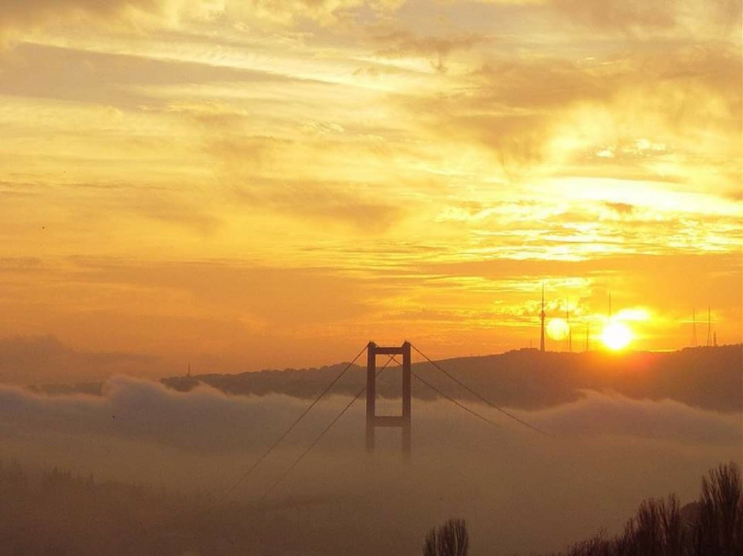 🌙 Her Karanlığın Bağrında Bir Fecr Saklıdır. 

#gerçekmağaza
#tarzıyaşatarzınolsun
#sanalalemingerçekmağazası
#n11 #tespih #tesbih #kehribar #sıkmakehribar #zarkehribar #ateşkehribar #hediye #hediyelikeşya #koleksiyon #AbdulhamidHan #bugünebirfotoğrafbırak #MaviVatanGönüllüsü