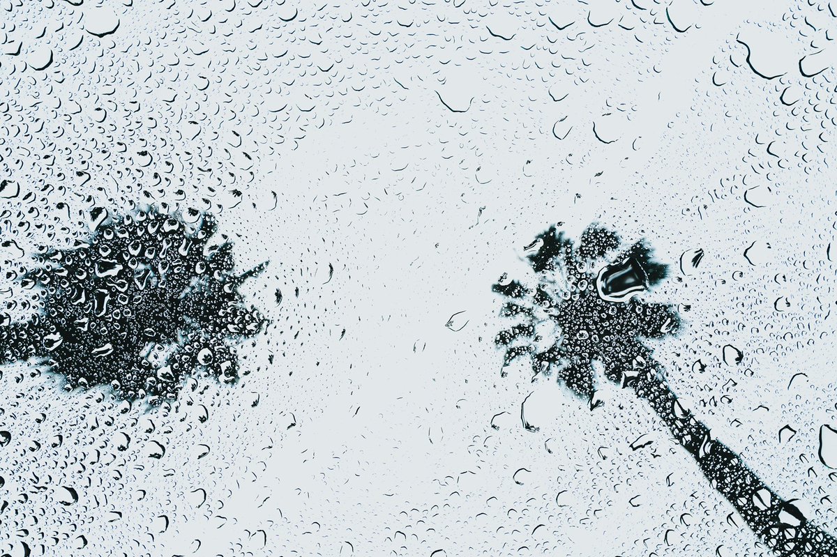 Park Hill Church tweet media