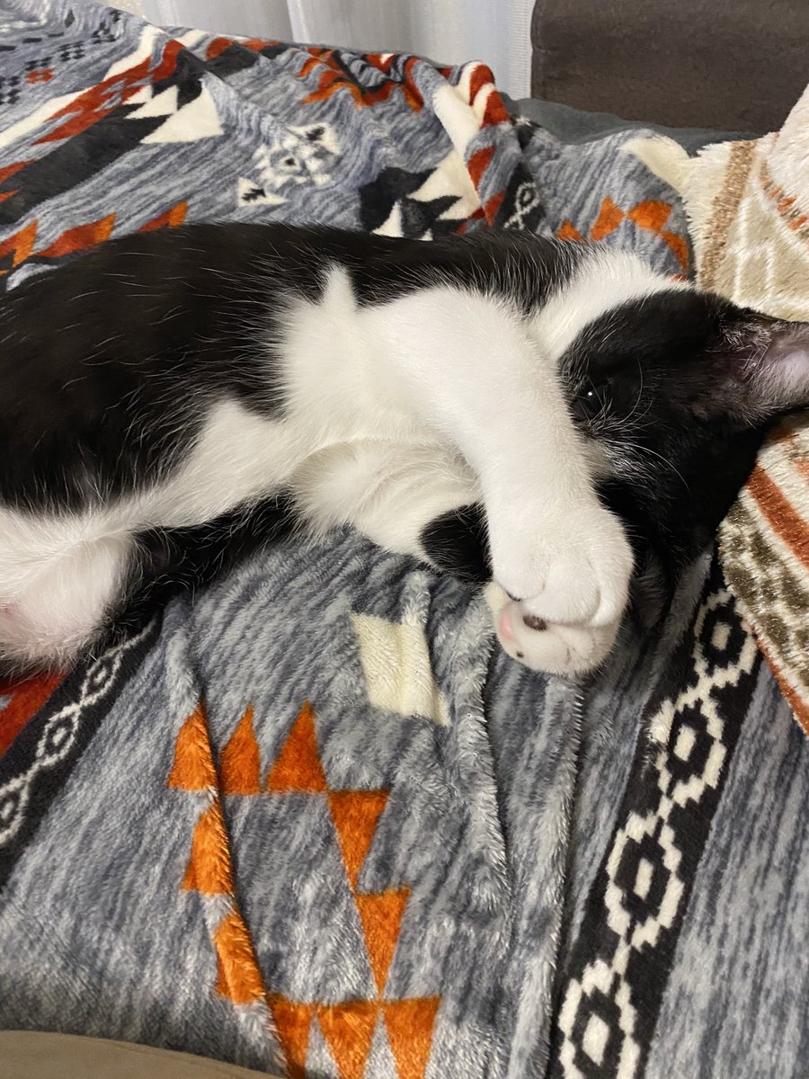 かわいいしぐさ かわいいしぐさ