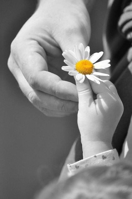 El agradecimiento
es la memoria del corazón.
Lao Tsé https://t.co/fy4LSW6o8q