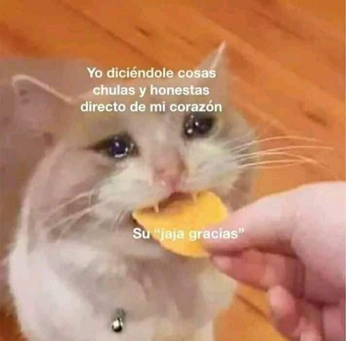 BPrepa's tweet image. 🤣😝