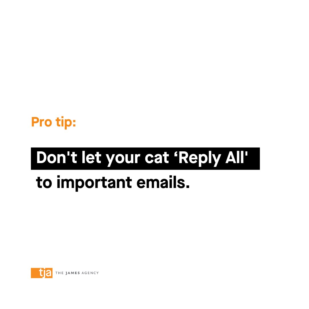 TheJamesAgency's tweet image. Need we say more? 🐈 #worktip