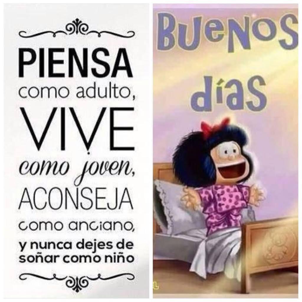 lamoscacojondra's tweet photo. @GAUDEUN @sisagusa @fandelmejor684 @Anibalf7 @Martina33365320 @graciagv2 @Isabelvieneotra @NataliaArana19 @1_pedrodeltoro @alebeneroso @Maribel45052139 @pilarmoreno52 @Malaga97451918 @bucker125 @criticonico @Rosemarie0548 @mgicafe @BarreirAurora @carmenarpon @PMajeton @Cordobesainfliz @ElMentalista11 @nievesfouz @Paulina81185733 @Carmen_AMartin @violetarnb @getaparo @Anibalfd2 @Desorial @gmh_upsa @albaristina @Maribel67927325 @AngelesRendn1 @JUANEN211065 @SergioAlvarezA4 @pepifaraona @g_palmira @ARRAUTXES @VelascoBegoa @Dunia20702172 @Monologuista1 @isaimarivent @campiezo2 @paquidelrio1 @Sussa36752332 @Hermi35939249 @Pecoseta56 @jrferna19521308 @mimariban @Erenovabl BuenosDiasPandaDeLokuelos
InteligentesFelizDiaDelSolDesdeElParaíso
EsLoQuéPasaCúandoVotamos #LISTAS DeMiembrosDelPartido ConfeccionadasPorLa #SIGLA
MéritosParaEntrarEnLaLISTA? SóloHaberDemostradoSer
FielesAlPARTIDO
YSuCompromisoALa #Disciplinadevoto
LosPoliticosSeriosDónde
Están? https://t.co/XEcMaHVM7U