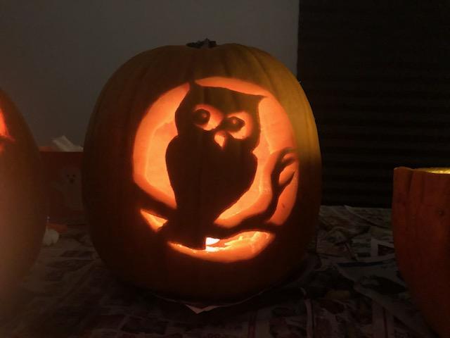 IAM8ull's tweet image. Pumpkins from this years carving with @WoWMerixxa 🎃 The owl is mine 🦉The witch is her 🧙‍♀️