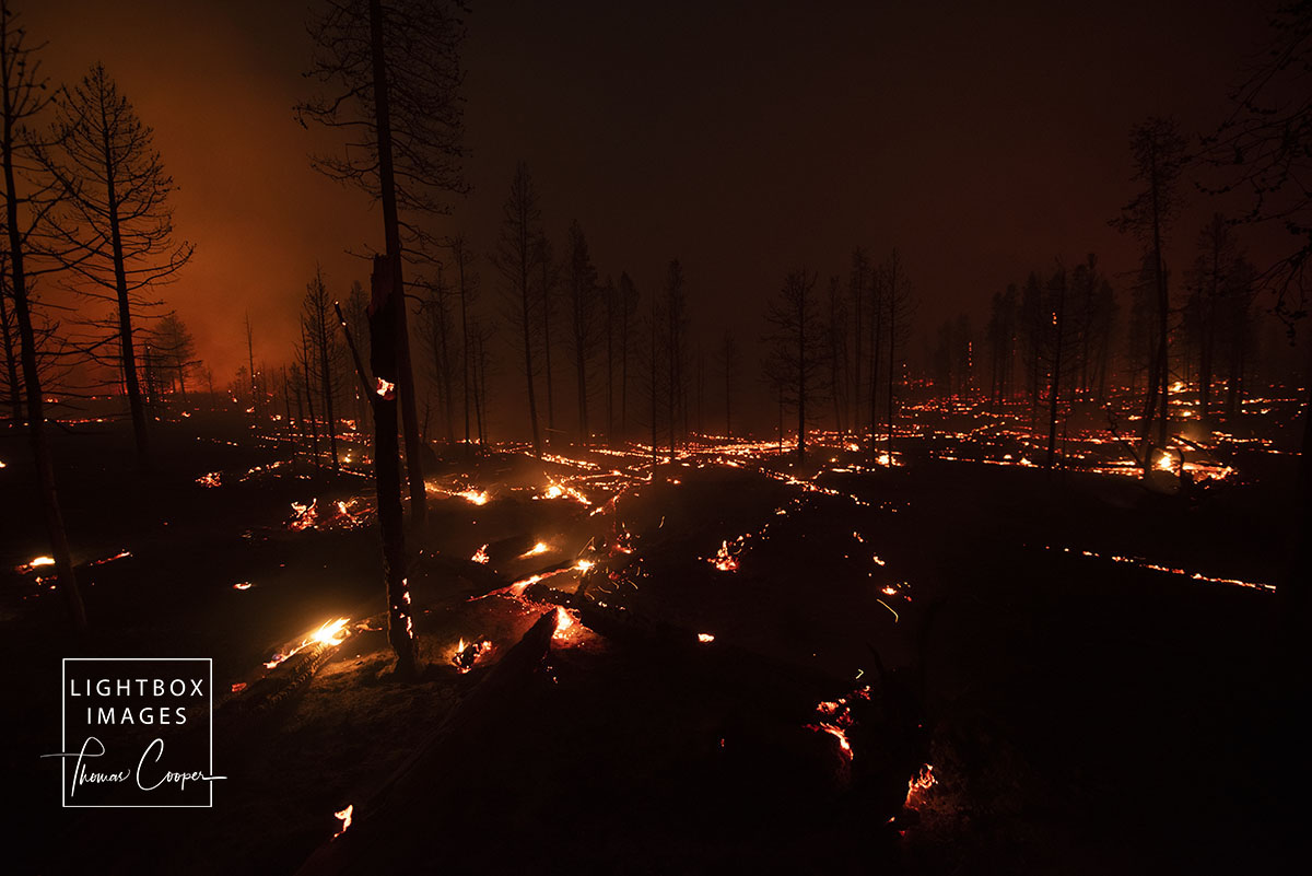 LightboxImages's tweet photo. Photos by Thomas Cooper https://t.co/pdHgEoSlRv #troublesomefire #fire #grandby #grandlake #forest https://t.co/pA0AvGWWkR
