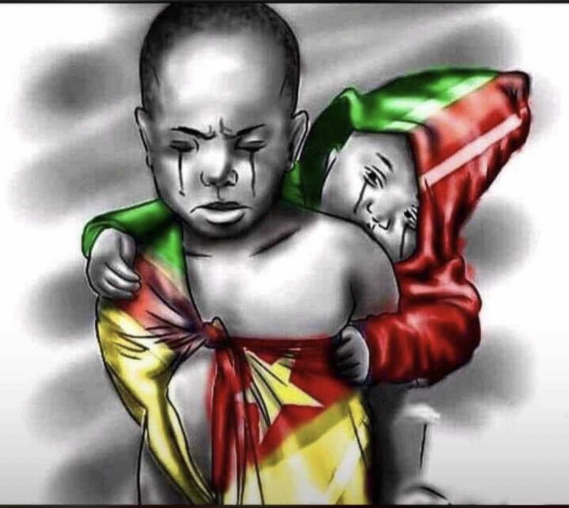 bg_yeboah's tweet photo. We went to Nigeria to #EndSars
We continue to Congo to #CongoIsBleeding 
Fellow Ghanaians let's join Camerouns #EndAnglophoneCrisis https://t.co/aFHi92l7vf