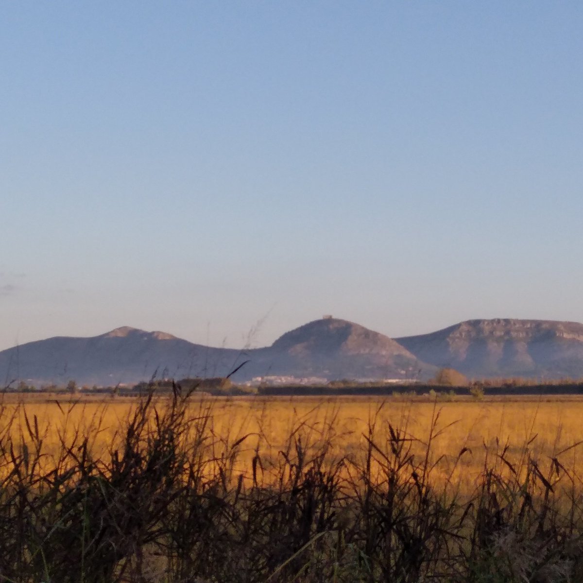 #FotoPerfilNova El Montgrí