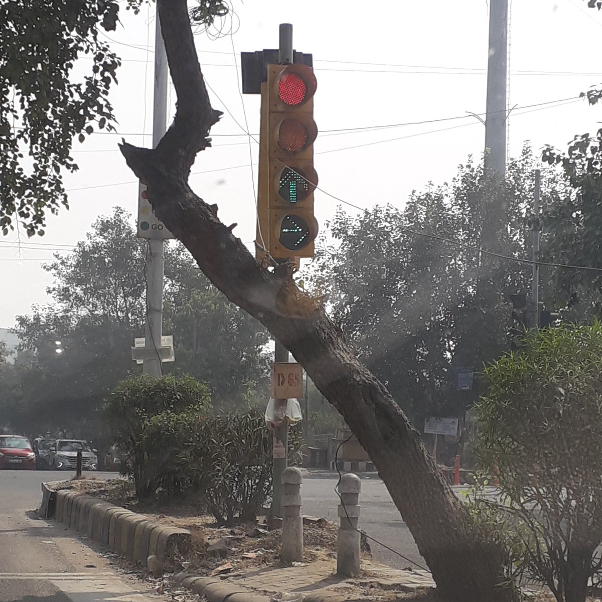 garg_aru's tweet photo. Me: God show me a path.
God: *being like traffic signal*🚦

🥴

@dtptraffic #lightsconfuseme #trafficlights #delhitrafficpolice #punintended https://t.co/xEVjm1hSIl