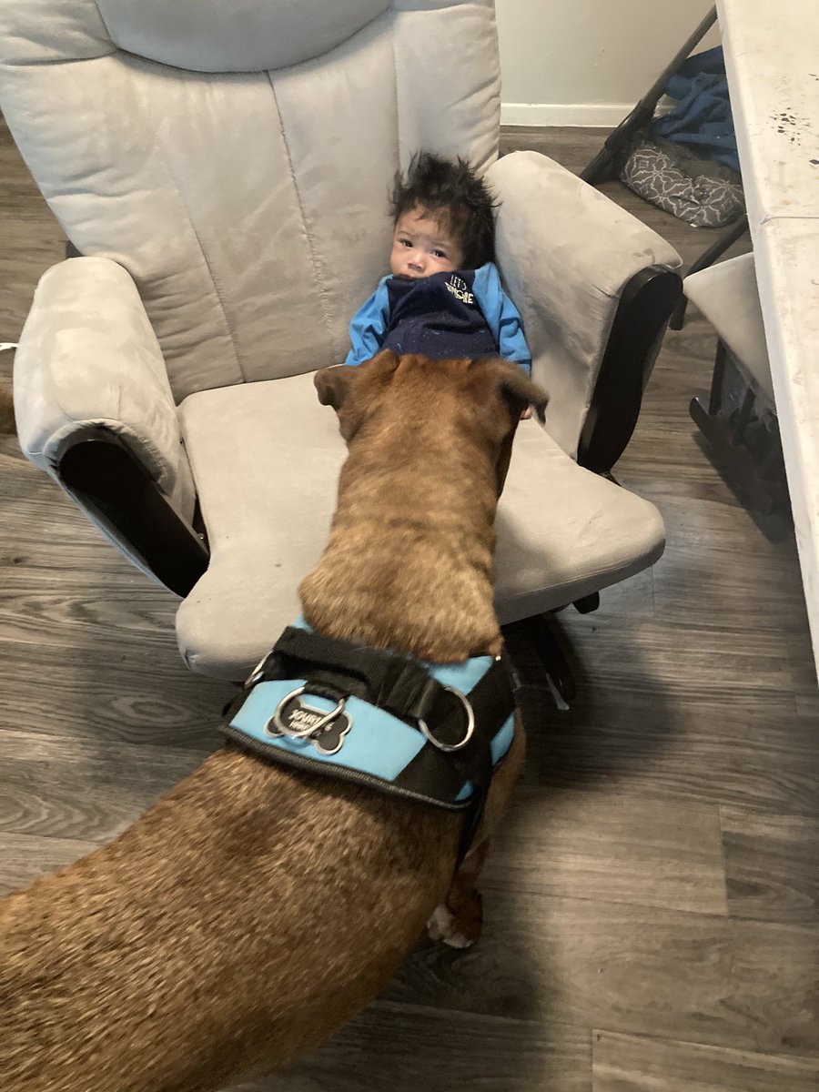 VVisiart's tweet photo. Fun jobs this weekend pet sitting and face painting. I love it and soon I’ll be back to my first love being a veterinary technician. Do what you love guys even if you love 100 different things
#facepaintingparty #sanantonio #kids #passion #dowhatmakesyouhappy #funweekend #art https://t.co/xHGD1RFPwu