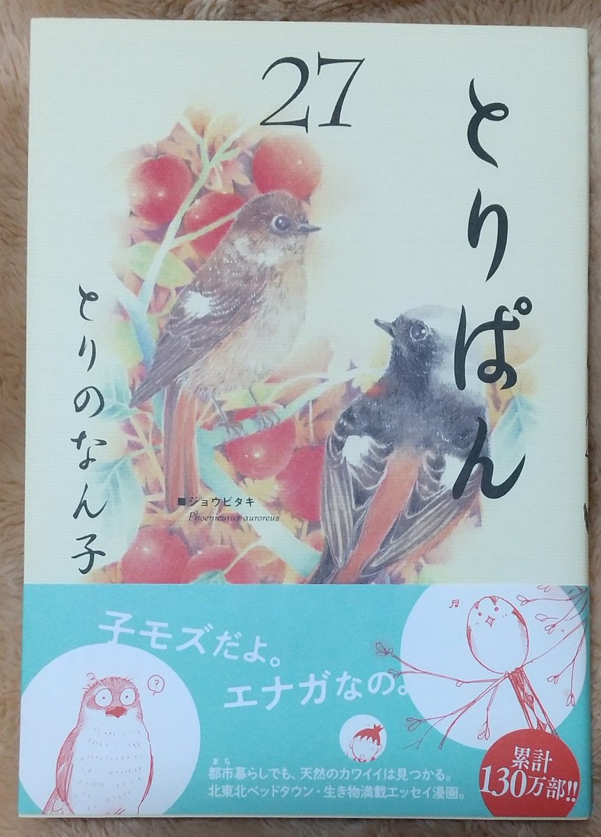 中島かなで 買ってきた本達 ためこう ララの結婚 ３ ねこ田米蔵 魅惑仕掛け 甘い罠２ 中村明日美子 Blanc ２ 全部blだわ 笑 違うから 違うのも買ったから とりのなん子 とりぱん 27