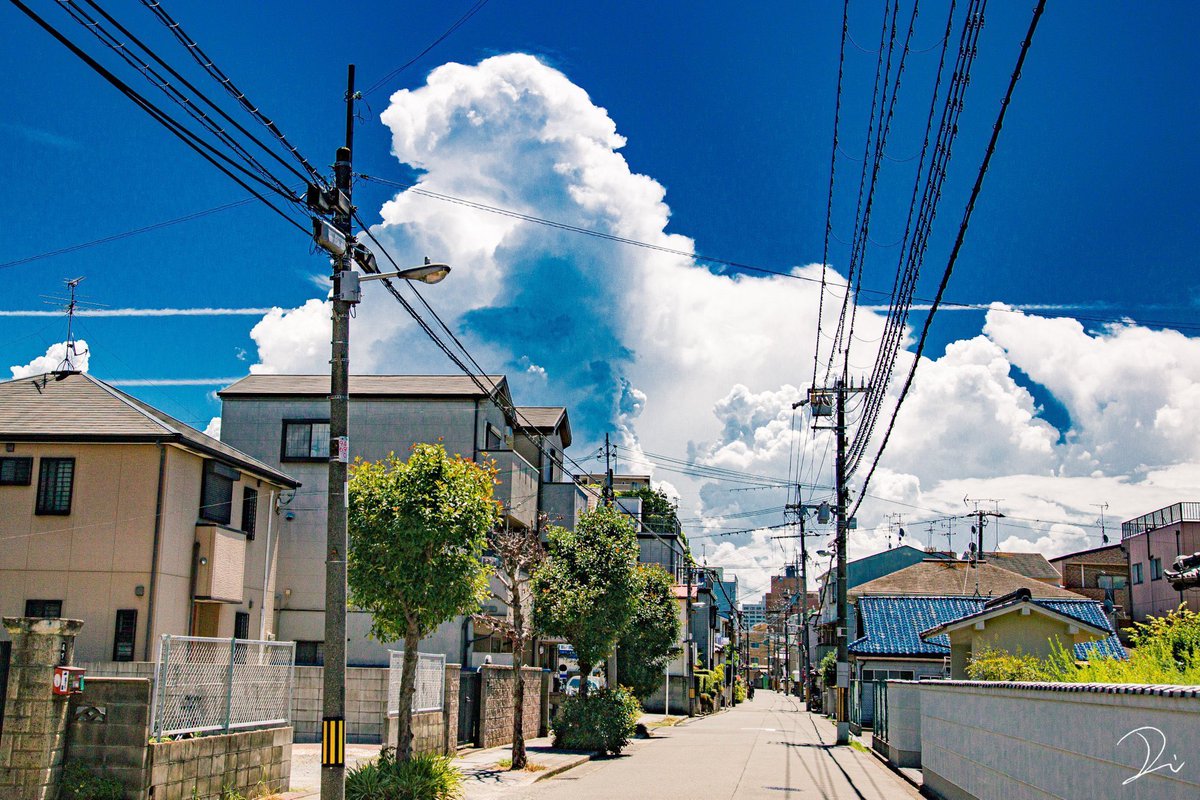 usalica's tweet photo. もう夏が懐かしい。 https://t.co/XSMx6Wlbcc
