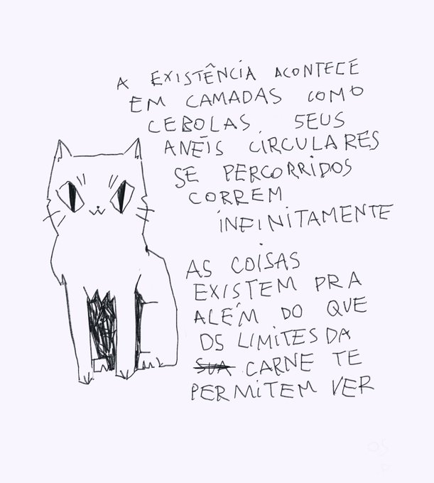 pra aqueles que como nós diluem o peso da existência com fotos de gatinhos no instagram 