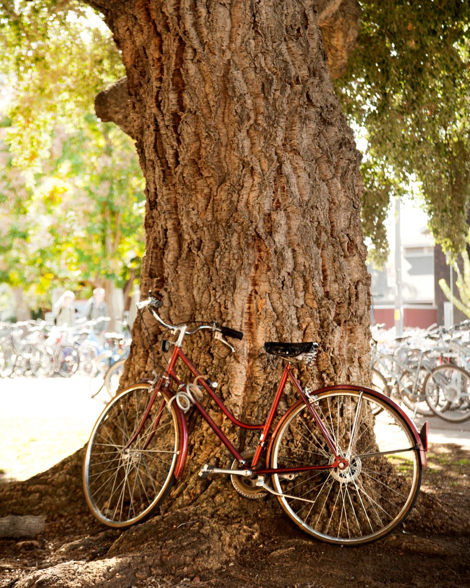 Uc Davis Experiencing Socio Political Related Stress The Following Tips May Help Acknowledge Your Feelings Reach Out To People You Trust Stay Informed But Know Your Limits Set