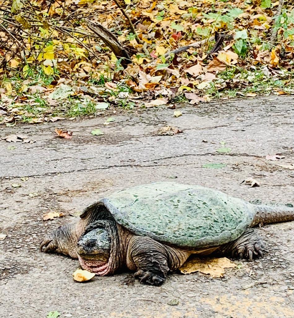 Sue Jewell tweet media