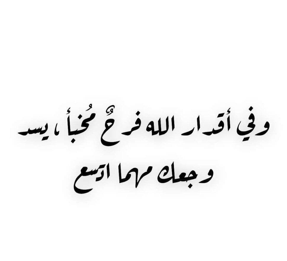sheekah65's tweet photo. https://t.co/qr7yHObQDO