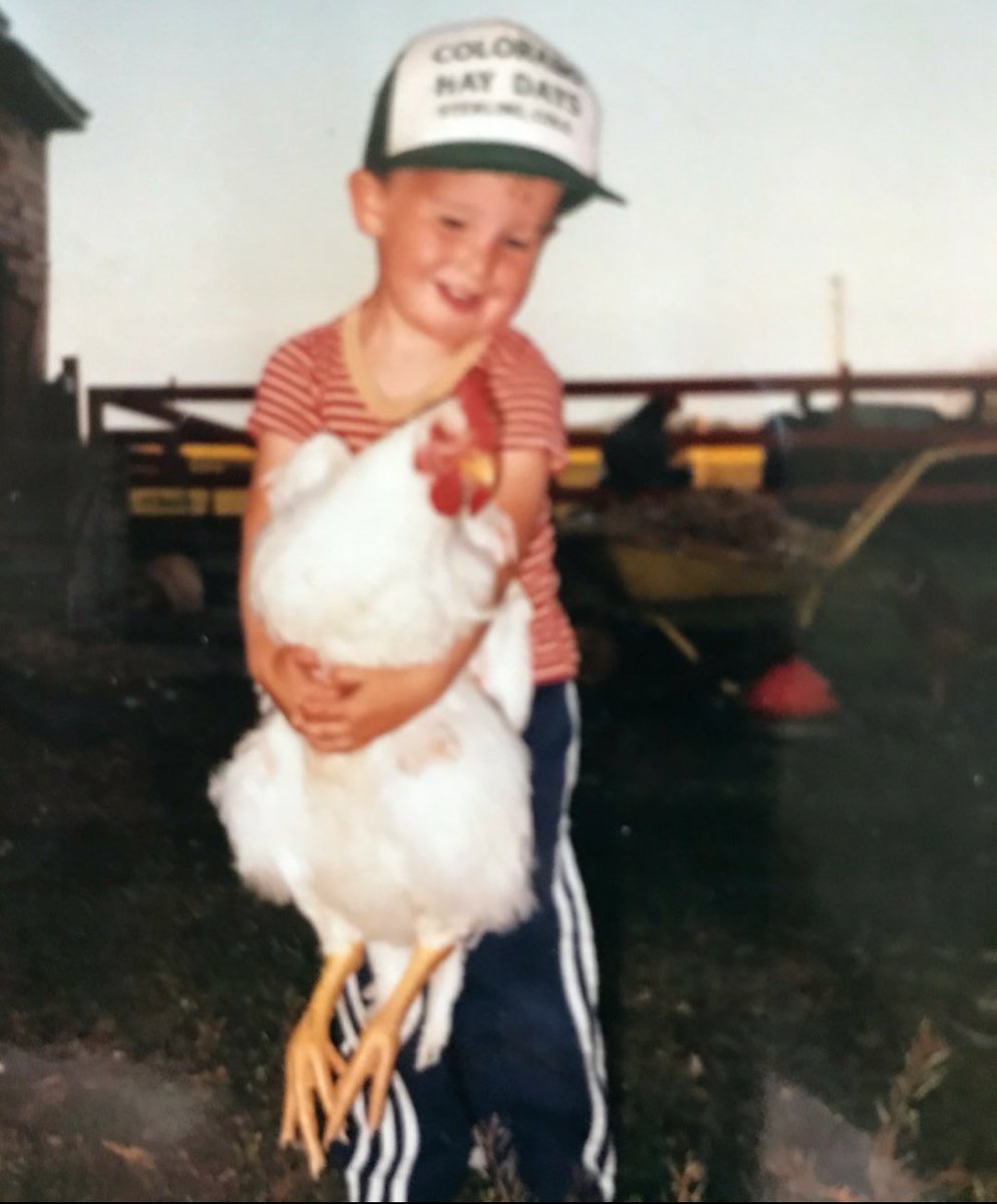 You really clucking need to listen to 'An Evening with Chickens' by @_TomHowell. It is a Grade A radio doc - informative, entertaining, engaging. I only wish I had known, at the age of three, that the friends I liked to lug around the farm were such interesting dinosaurs!