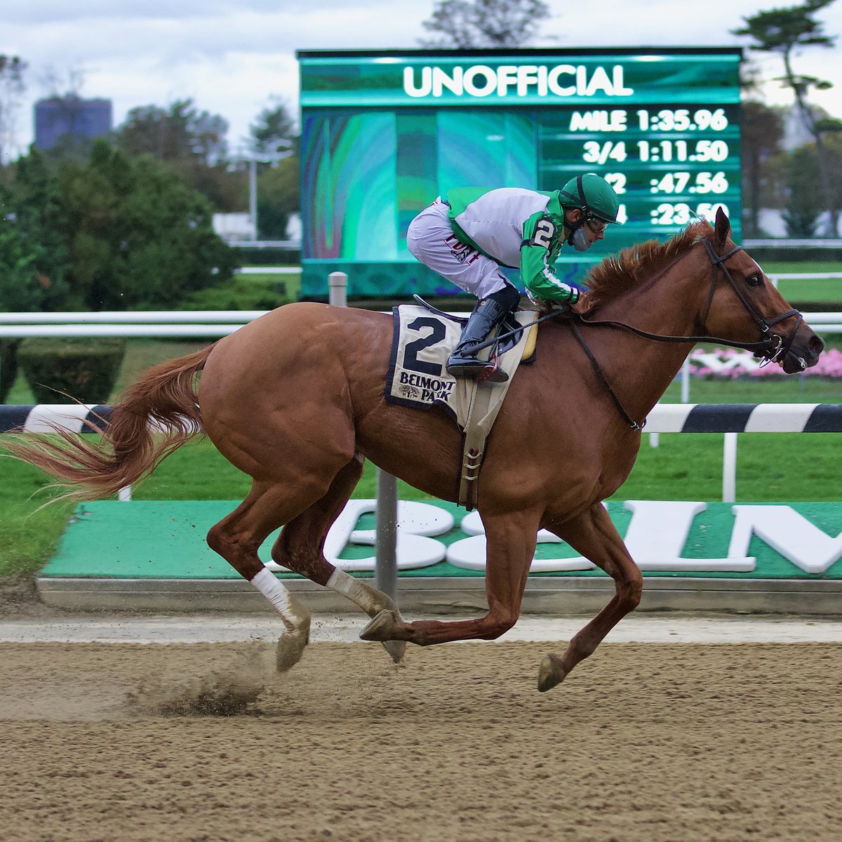 Fleetphoto's tweet image. #MrBuff Winning the Empire  Classic @Belmont 
Fleetphoto.net
