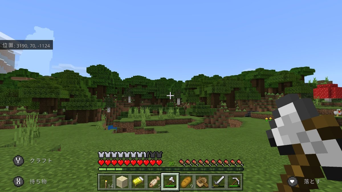 Error Code ダークオークとトウヒが欲しくて1時間以上かけてワールドを探索 やっと見つけました 疲れたけどこれで建築が少し進みそう Minecraft マイクラ マインクラフト Nintendoswitch