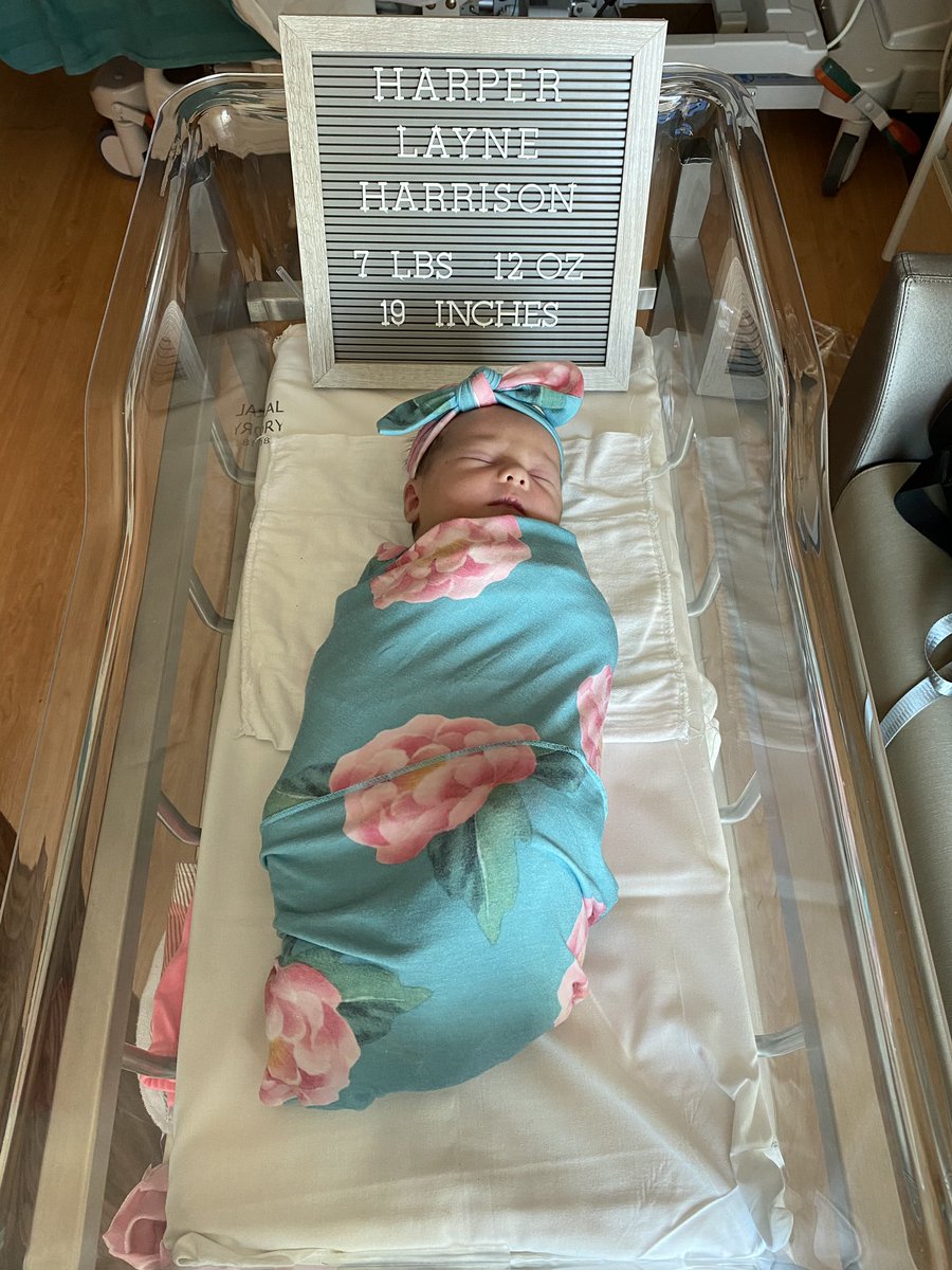 shan1han's tweet photo. I guess I forgot to post here but we added another perfect little human to our family on 10/20/20😍💕 https://t.co/KNUzAmPRjL