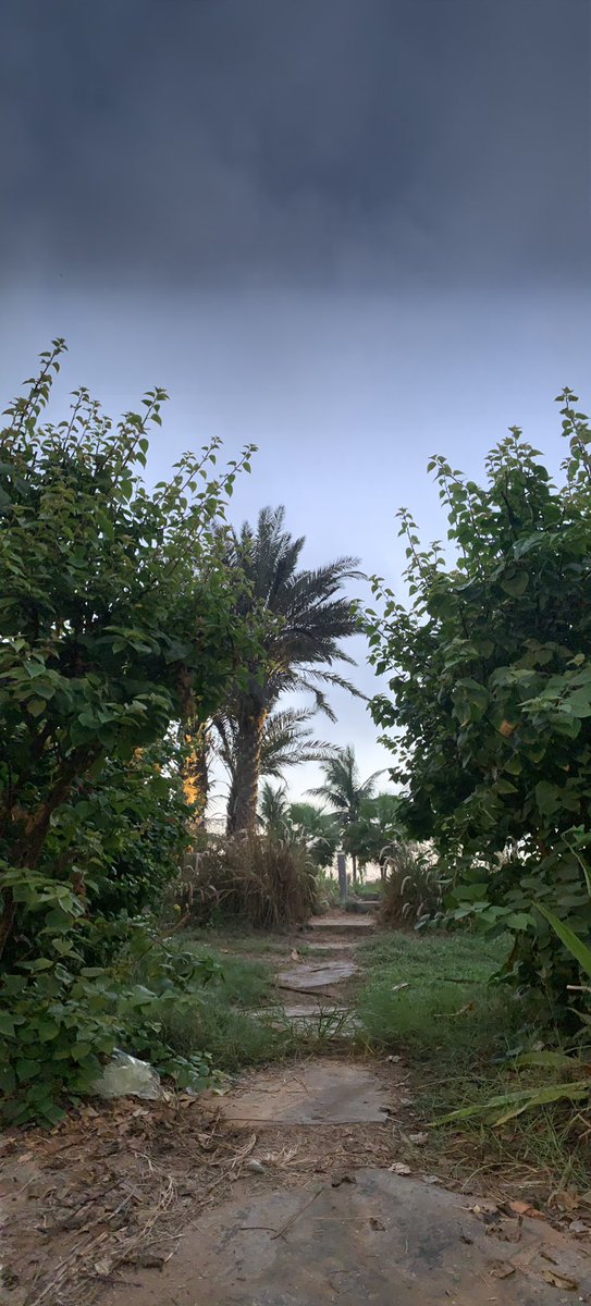 saeed_aldosi's tweet photo. قبل وبعد - من كورنيش جدة 
صورة بانورامية بالجوال .
#صباح_الخير https://t.co/Ca5yzju82F