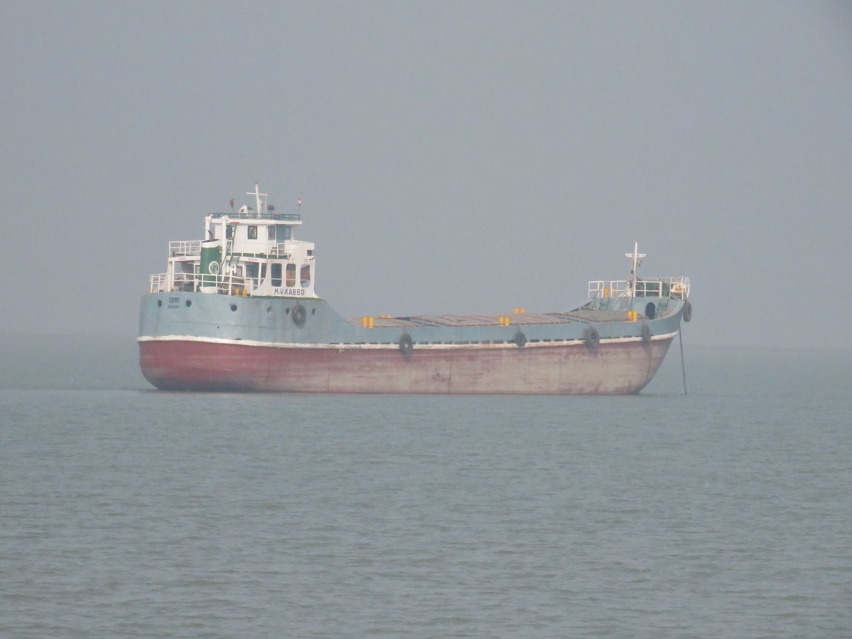 mongabay photo