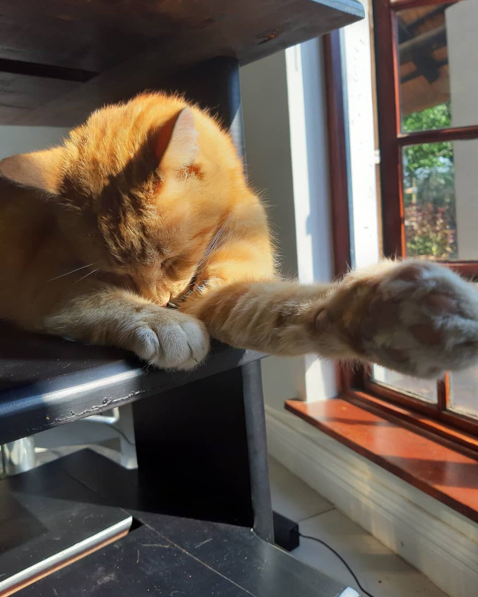 #hairatgeorge #studioIIIhairdesign #thestablesvillagemarket!😷😉