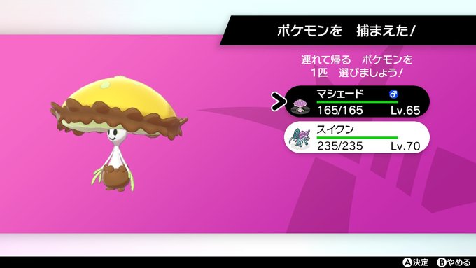 マシェード 色違い マシェード 色違い