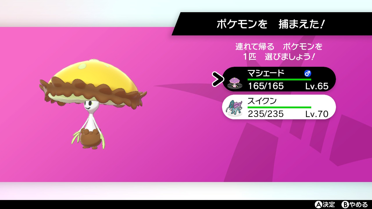 ট ইট র いちご大福 ダイマックスアドベンチャーで色違いのマシェード捕まえた ポケモン剣盾 Nintendoswitch T Co Kuf4jnlqkq ট ইট র