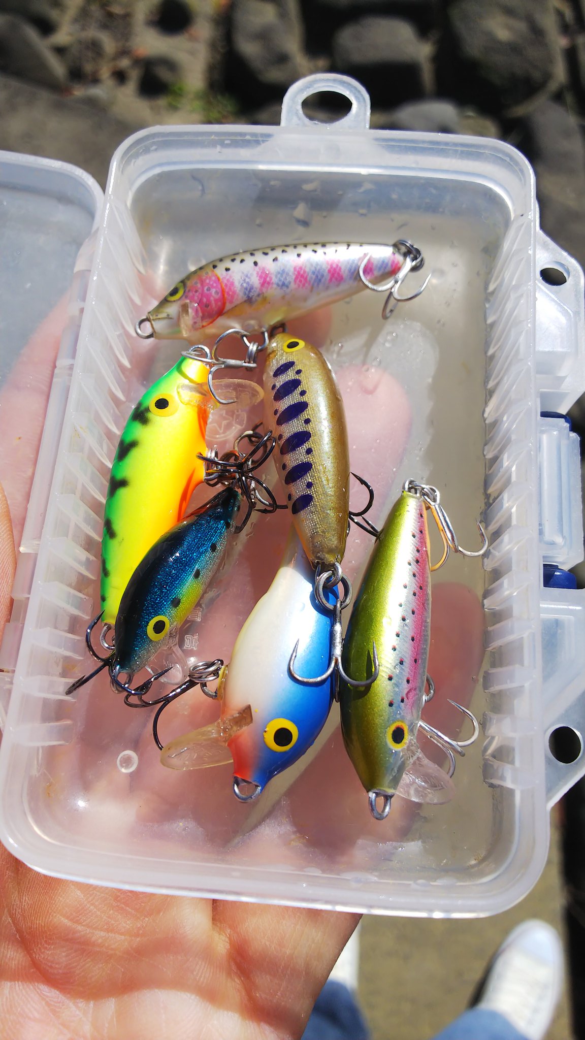 ラパラcd3改リップレス Twitter Search Twitter