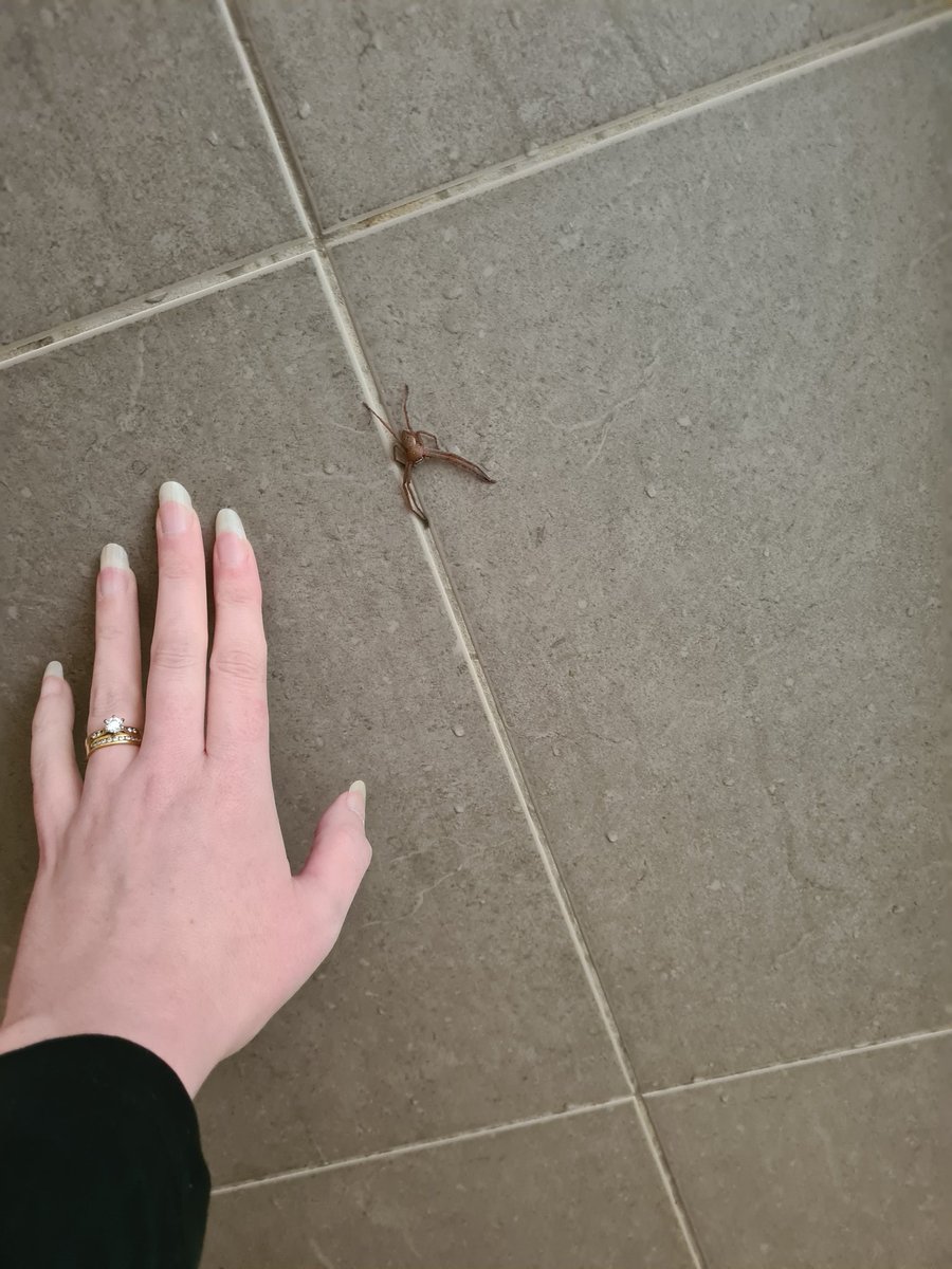 Bron Thulke tweet media