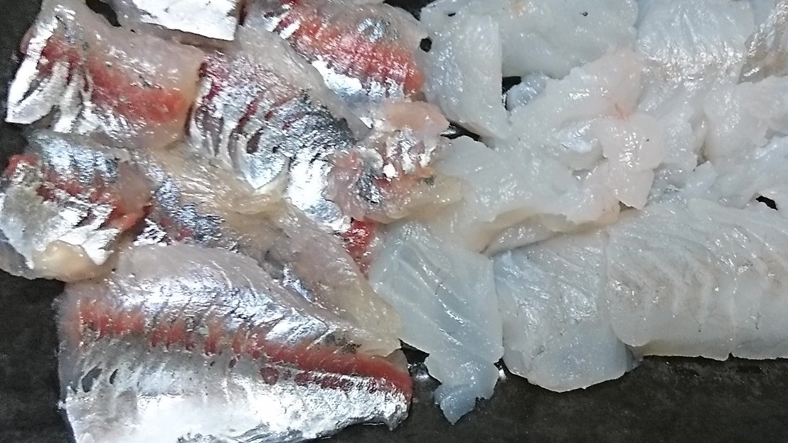 猪丸 ししまる 釣り大好き勢 釣り アジ グレ 刺身 フカセ釣り 堤防 神戸のアジとグレ メジナ のお刺身 つくりましたー アジは15 前後だけどなんとかお刺身にしました