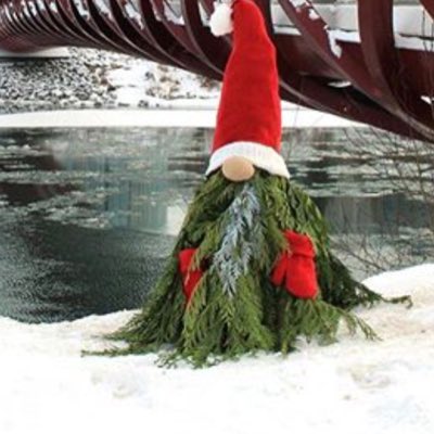 BonavistaFlowe1's tweet photo. #NewProfilePic https://t.co/OJTYrqmfv2
