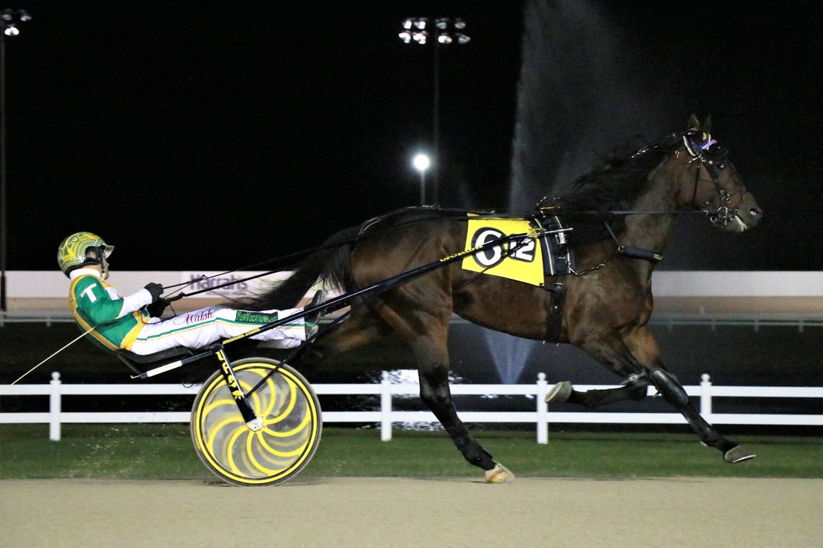 hoosiernations's tweet photo. Good Morning @MarcusMMelander @stefan_melander @tetrickracing @Chris_wponies @rebelsart @jtlburn @KimberlyMosier1 @KathleenBaitzel @joe_norte @BradA53472906 @dolenski_john @KerriLT17 @JoanSpe77536971 @vnssa926 @blongphee67 @righthind @HoP_Racing #Capricornus #TimTetrick https://t.co/TB5G3opb82
