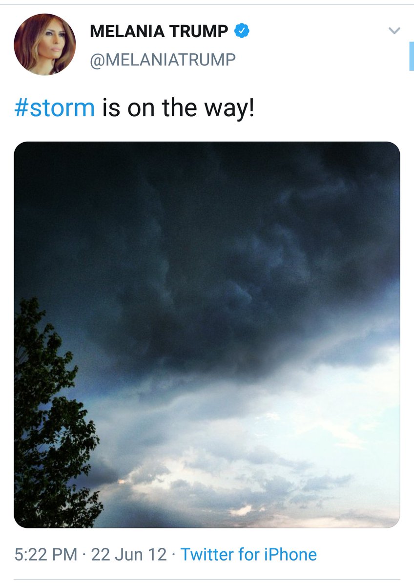 522 mirrored = 225 @FLOTUS twts storm is on the way.How will BIG tech weather the flood waters if they have no control of the ships.Mirror / Mirage.  https://twitter.com/LovesTheLight/status/1318043793824808962?s=19
