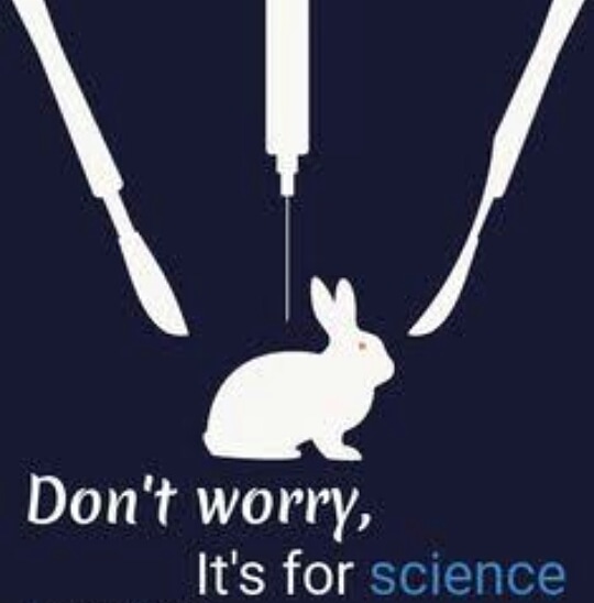 Rabbits are the frequent victim of animal testing...cause they are innocent easy to handle there only fault ....No life should be on line for testing... speak for rabbit.. speak up for all animals.... A world free of animal cruelty 

#AnimalsDeserveJustice #AnimalCruelty #rabbit