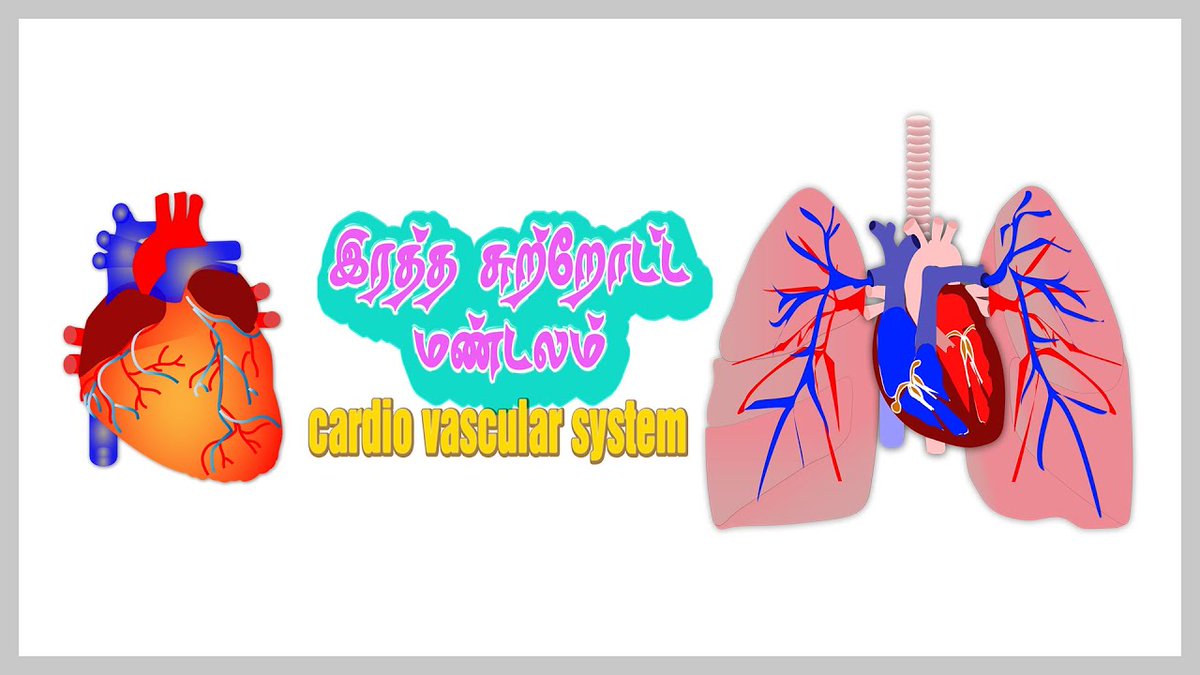 #CVS
Cardio Vascular system

youtu.be/1agnAf-NHiA

#Heart
#Medical 
#Physiology